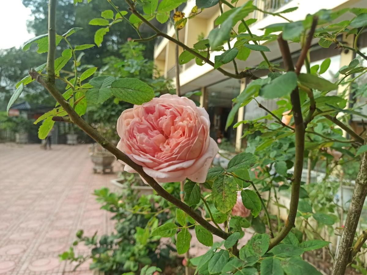 Aku House Villa Ao Vua Ba Vi Exteriér fotografie